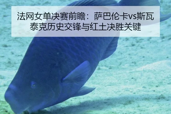 fa-wang-nv-dan-jue-sai-qian-zhan-sa-ba-lun-ka-si-wa-tai-ke-li-shi-jiao-feng-yu-hong-tu-jue-sheng-guan-jian-3-309.jpg