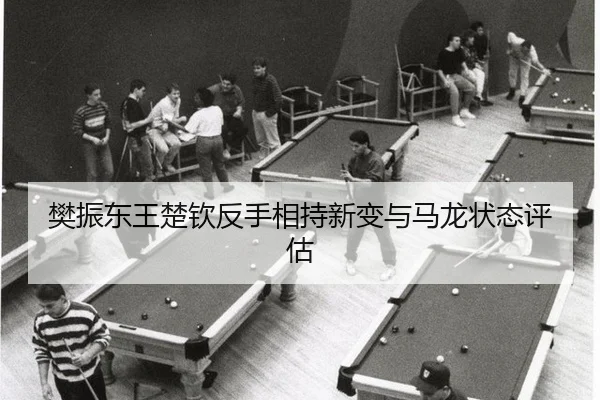 樊振东王楚钦反手相持新变与马龙状态评估